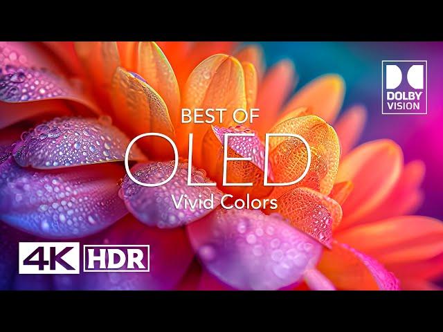 Best of Vivid Colors 4K HDR 60 FPS Dolby Vision (4K Video)