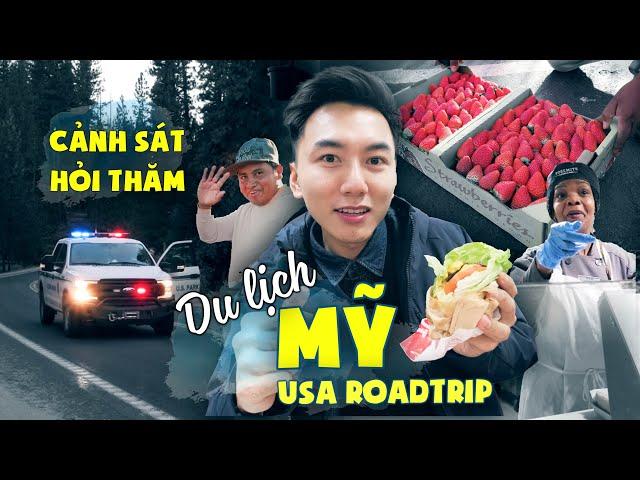 USA Roadtrip #2: Du lịch Mỹ tự túc - Rừng sâu đầy tuyết |USA trip