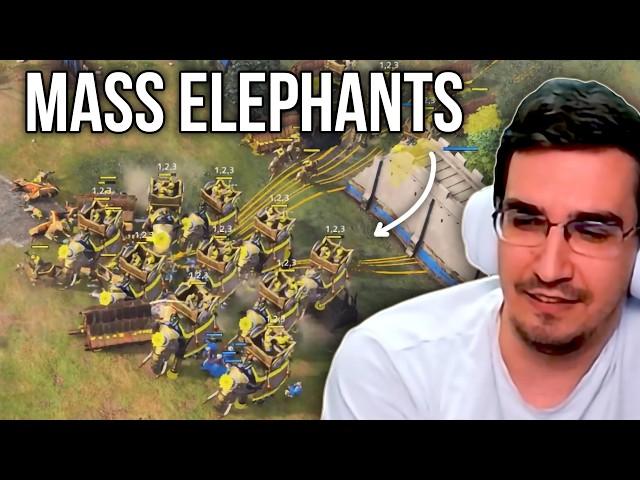 Going Mass ELEPHANTS In an Epic Battle vs CAT in AOE4: (Delhi vs HRE)