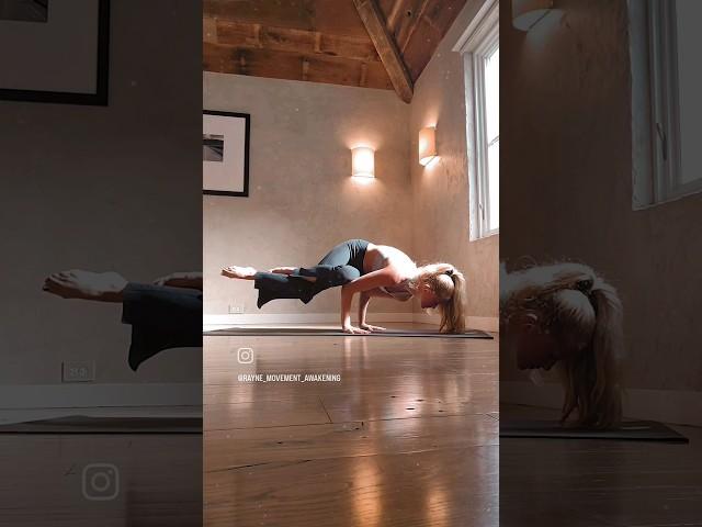 Side Crow Arm Balance Challenge! #yoga #armbalance #yogainspiration #yogalife #yogateacher #yogagirl