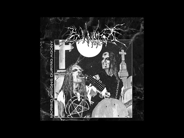 Reanimator - Morbid Visions During Agony (Full Length 2022)