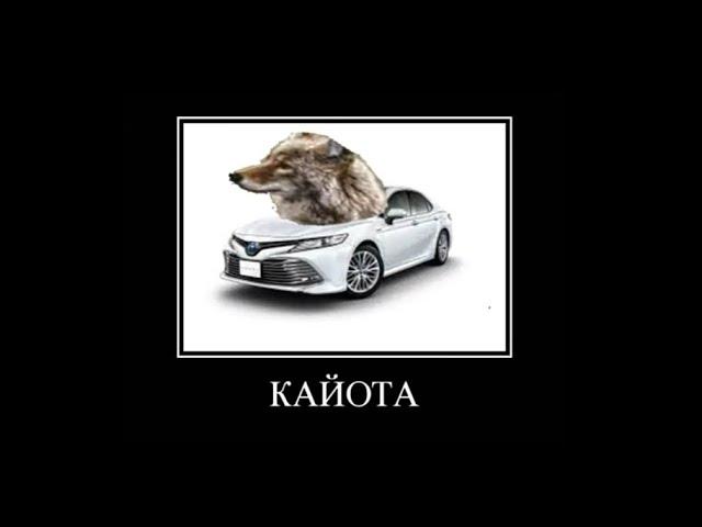 МАРКИ АВТО+ШИЗА=