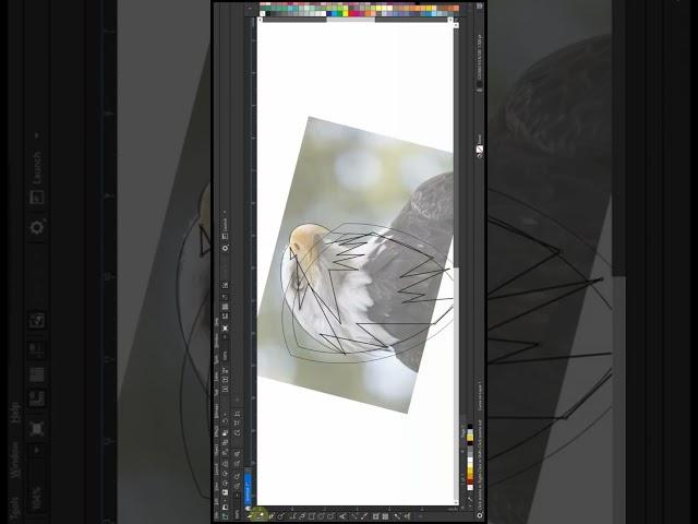 Learn corelDRAW with Ahsan Sabri