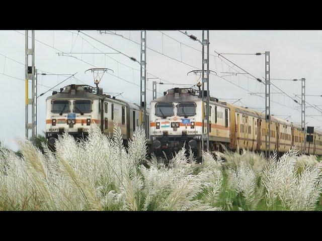 Dangerous Trains Actions Through Beautiful "Kaash Ful" in Rural Landscape | Indian Railways