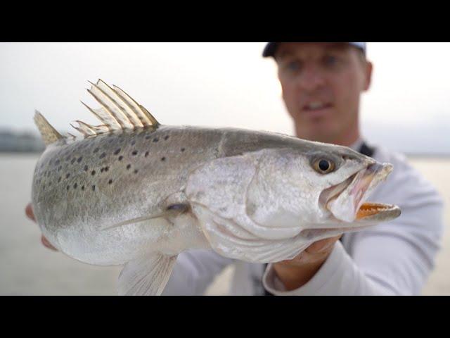 How to Catch Trophy Speckled Trout - Gator Sea Trout Tips and Seminar