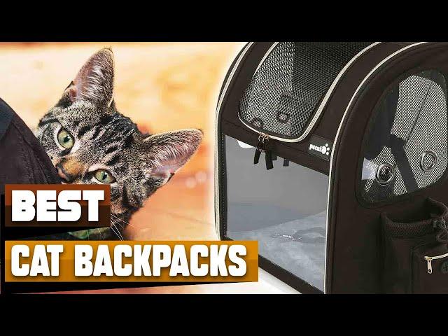 Best Cat Backpack In 2024 - Top 10 Cat Backpacks Review