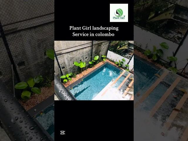 Pool landscaping  #landscapedesignideas #plants #handmadeplanter #houseplants #garden