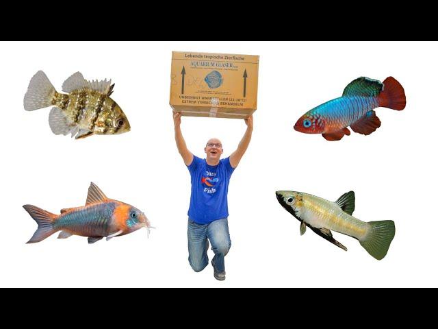 Unboxing the GOOD STUFF!!! New Aquarium Fish