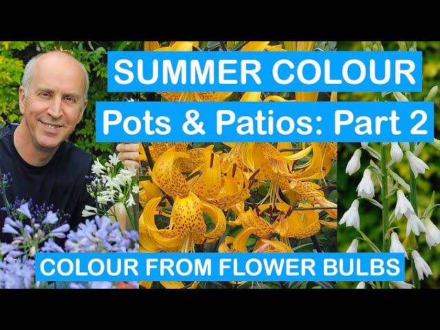 SUMMER COLOUR FOR POTS & PATIOS: Part 2 - COLOUR FROM FLOWER BULBS – Lilies, Dahlias,Begonias & More