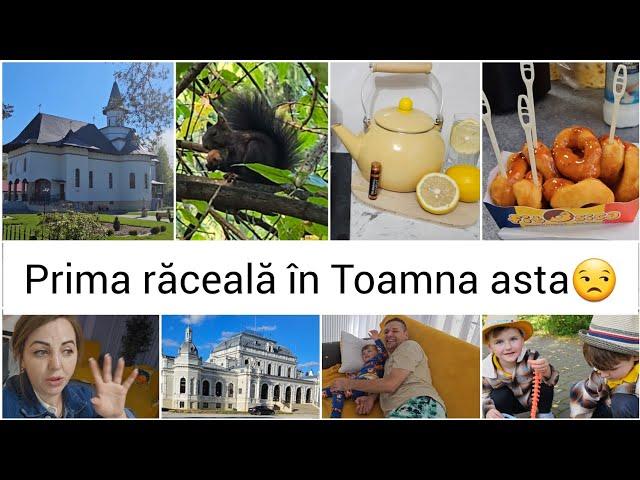 Vitamine bune pentru Imunitatea la copii/Am vorbit cu altă firmă sa ne facă balcoanele la casă