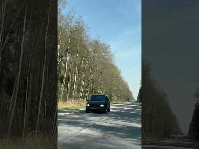 Подмосковье .Дорога Губино - Шатура..