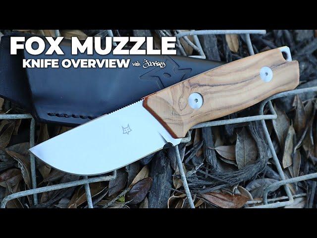 FOX Knives Muzzle Fixed Blade Knife | 5-Minute Review | Atlantic Knife