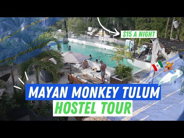 Mayan Monkey Hostel Tulum Tour #hostellife