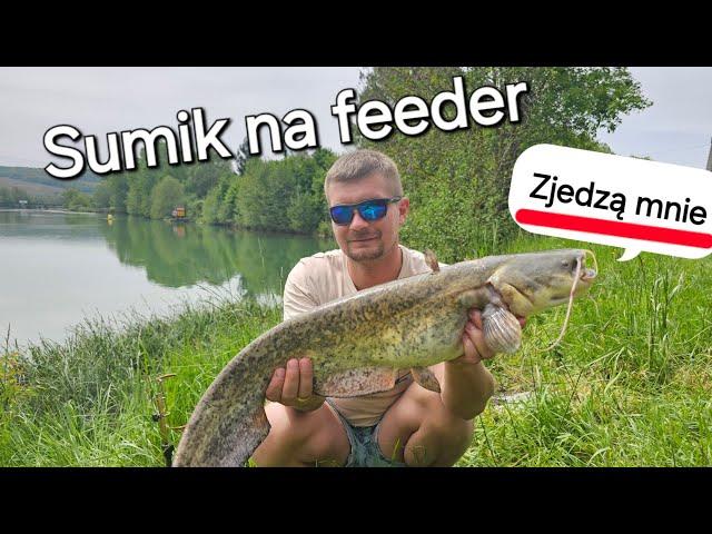 Sumik na feeder, Jak wyciagnąc rybę z zaczepu