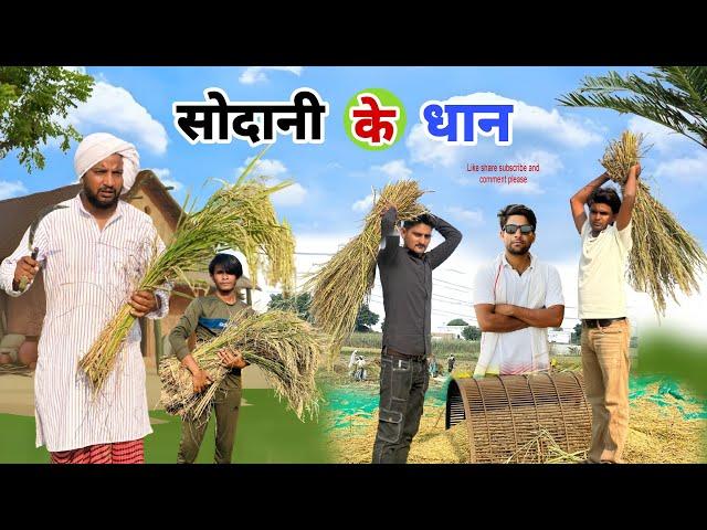 सोदानी के धान ||@HAKKUSINGARIYA  ||Tau Sodani || Hakku singariya