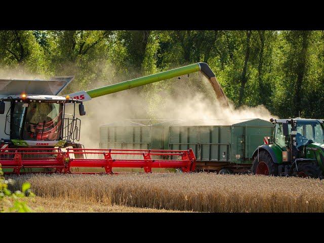 A DAY ON THE FIELD HARVESTING GRAIN, CANADA