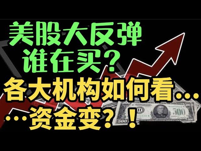   美股大反弹，谁在买？各大机构如何看... 资金变！？ -- 第805期 --