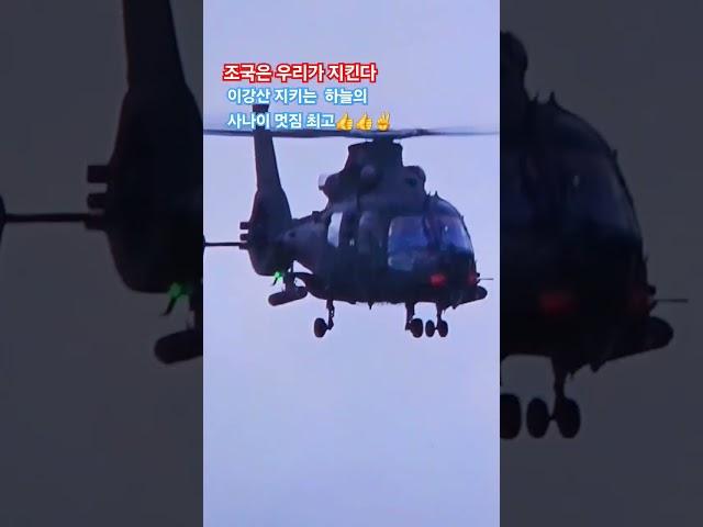 ️멋진 젊은 대한의 군인들 ~최고!! 멸공#국군의날