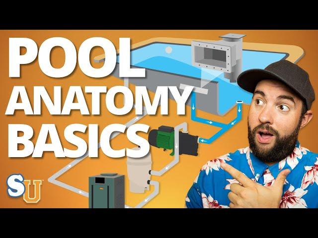 POOL ANATOMY and PLUMBING For Beginners (Step-By-Step Walkthrough) | Swim University