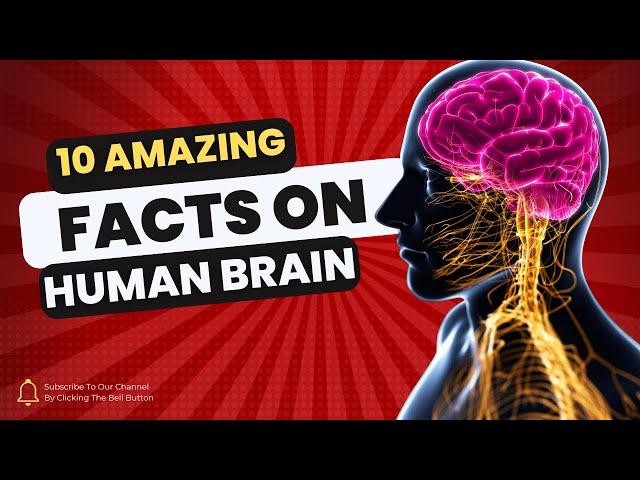 10 Amazing Facts About the Human Brain You Never Knew | #BrainFacts #Psychology #HumanBrain