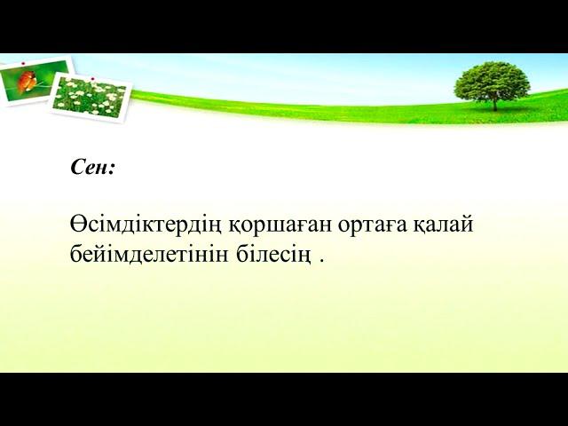 3 класс Жаратылыстану   Тақырыбы: Өсімдікке жарық қалай әсер етеді?