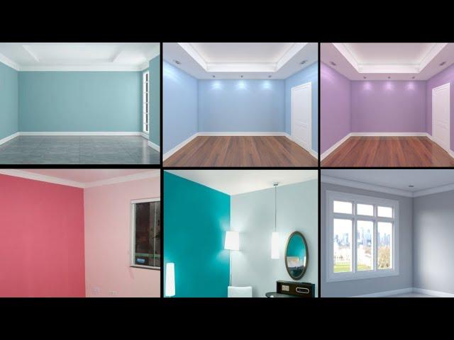 Light Colour Paint for House/Light Colour Combination for Bedroom/ Living Room/wall painting ideas