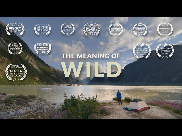 The Meaning of Wild | Wilderness Adventure Documentary - Tongass National Forest Alaska