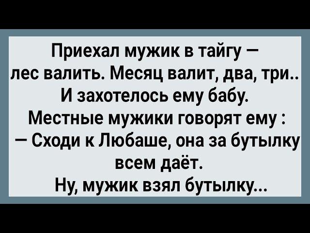 Как Мужик в Тайге к Любаше Ходил! Сборник Свежих анекдотов! Юмор!