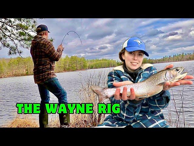 The DEADLIEST Brook Trout Fishing Setup  - How to use THE WAYNE RIG