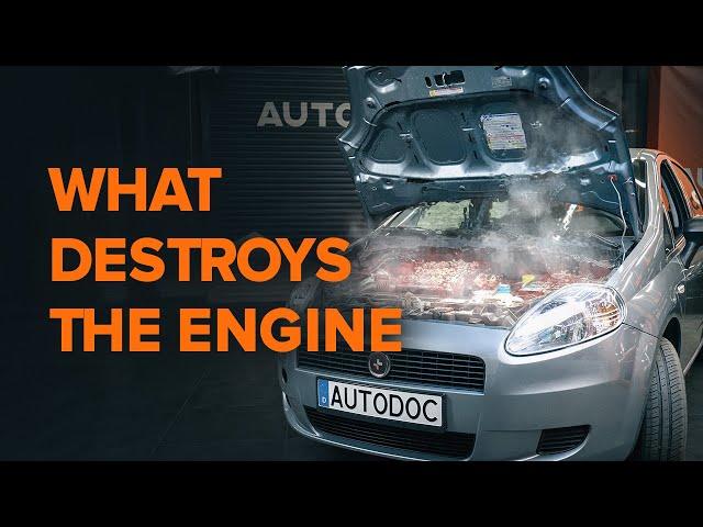 Extend your engine's life: Avoid these 3 damaging factors | AUTODOC tips