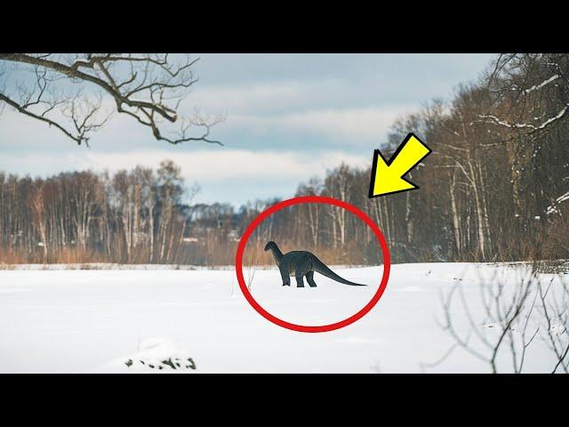 The researchers installed cameras in Chernobyl. What they saw left them in shock!