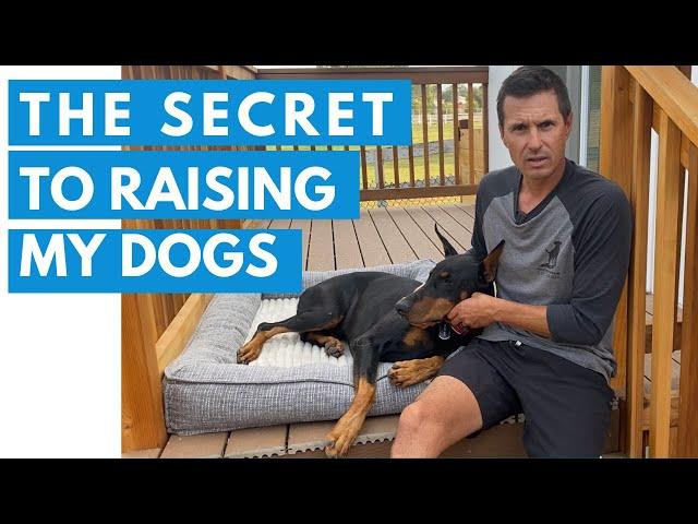 Learn how to raise dogs like Prince and Bosco