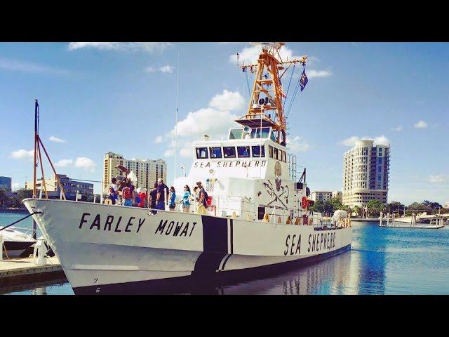 M/V Farley Mowat Crew Prepares for Operation Milagro II