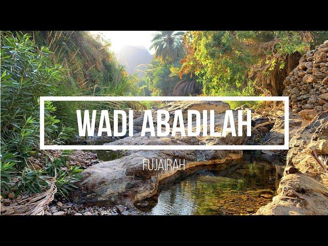 WADI ABADILAH-HIKING-FUJAIRAH-FRESH WATER POOLS-UAE-MOUNTAINS IN UAE-PLACES TO VISIT IN UAE.UAE VLOG