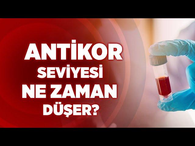 Antikor Seviyesi Ne Zaman Düşer? | Haber