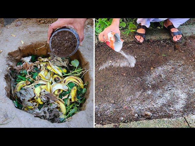 I do this every year to supercharge my soil so I can grow huge tomatoes & tons of cucumbers