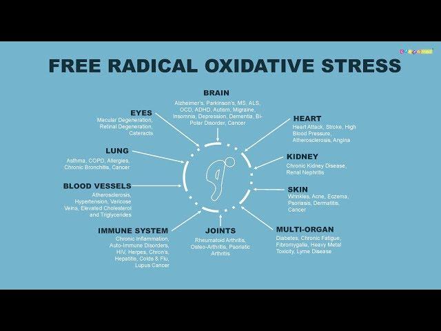 How can we overcome oxidative stress?