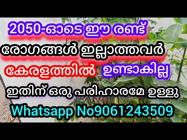 ഈ 15ഇലക്കറികൾ നിങ്ങളെ രോഗങ്ങളിൽ നിന്നും രക്ഷിക്കും a1luckylifemedia whatsapp _9061243509