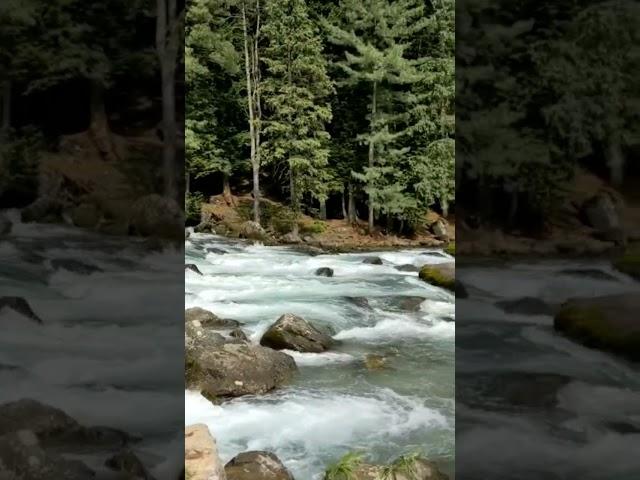 Nature Photography | Subhanallah Kashmir photo gallery #timelapse #kashmir  #scenery #pahalgam #life