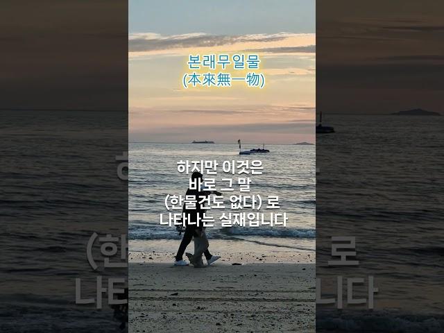 [본래무일물]  #shorts  #마음공부 #마음챙김 #지혜
