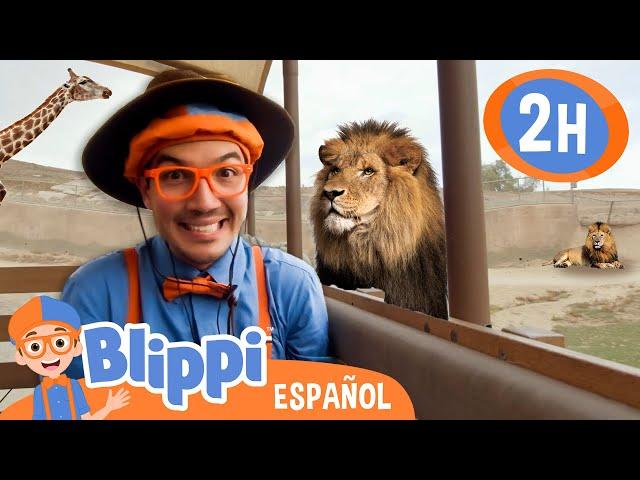 Blippi va al Zoo!  Aprende con Blippi | @BlippiEspanol  | Moonbug Kids Parque de Juegos