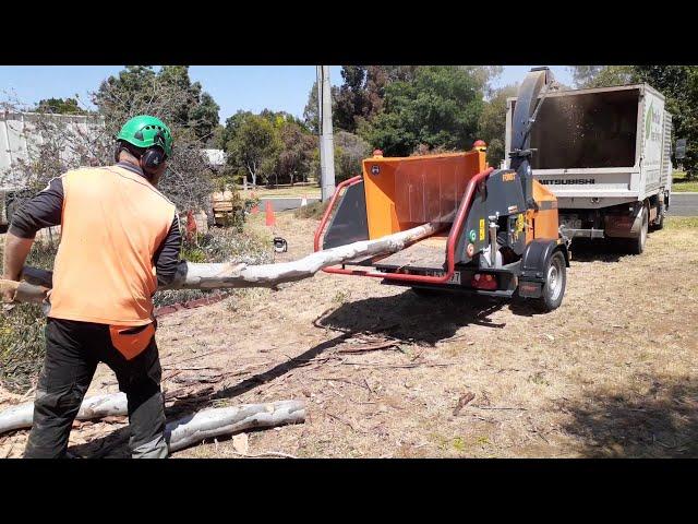 Forst ST8 Diesel Wood Chipper Demo