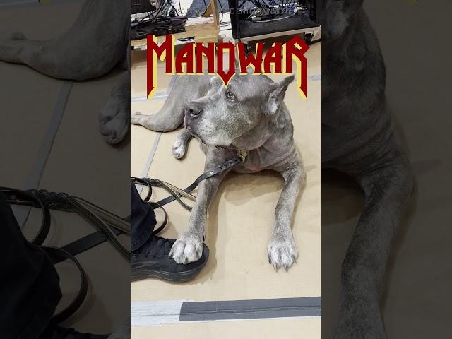 ️ When our “producer” shows up at the studio, everyone listens!  