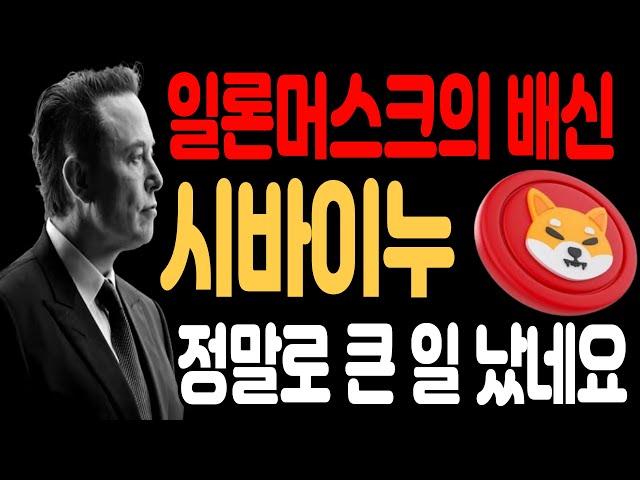 [시바이누코인 전망]일론머스크의 배신 시바이누 정말로 큰 일 났네요