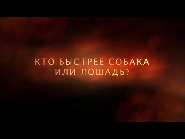 История в деталях