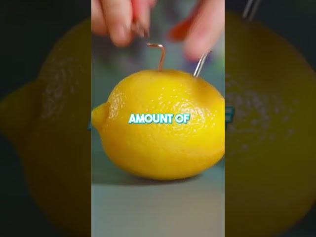 This Fruit Can Charge Your Phone!