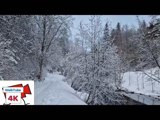 Walking in Jyväskylä, Finland,January 2023. A day after snow falling in winter