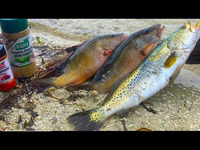 Living My Amazing Island Life (Catch, Clean, Cook) Saltwater Fishing Florida Flats With Shrimp