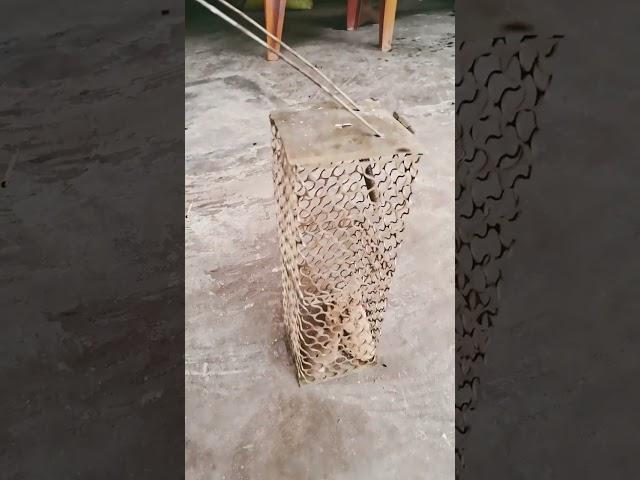 mus ka video