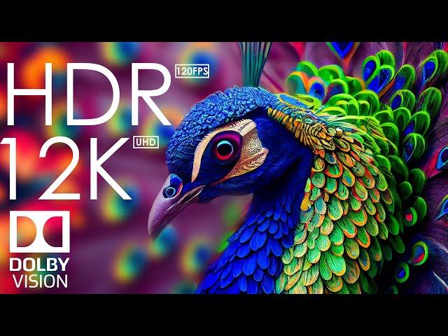 12K HDR 120fps Dolby Vision with Calming Music (Animal Colorful Life)